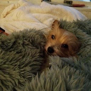 Meet your Posher, Angie